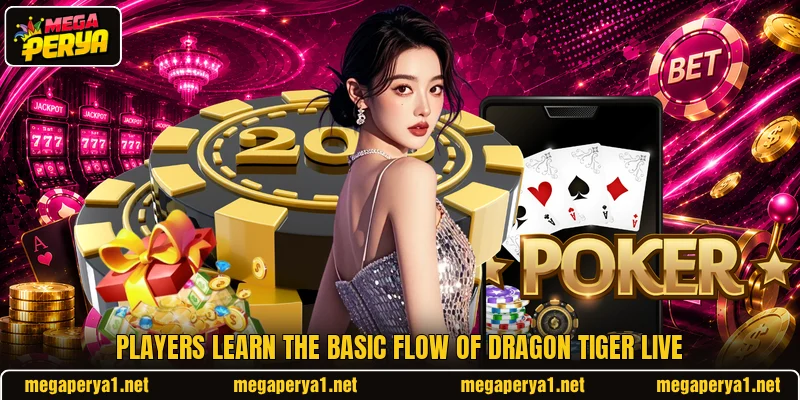 Players learn the basic flow of dragon tiger live Players learn the basic flow of dragon tiger live